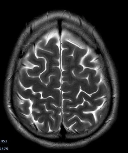 Image 16-04-2024 at 21.48.jpeg