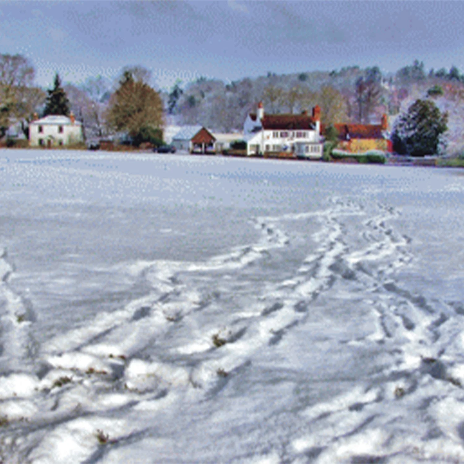 Tilford Village Green