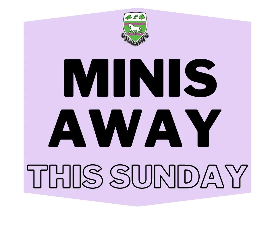 24/09 - Minis teams away at Devizes RFC