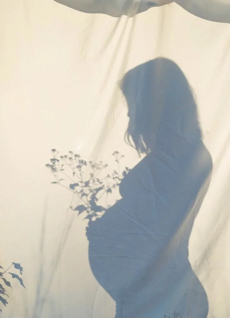 Shadow of a pregnant woman holding flowers on a light-colored curtain background.