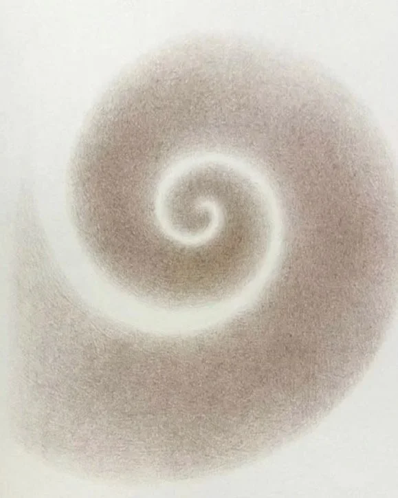 A spiral pattern with a gradient of brown shading on a white background.