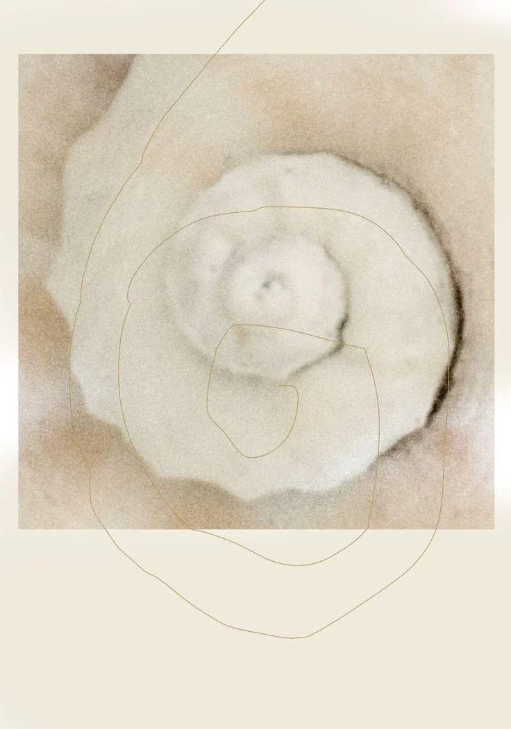 Close-up of a spiral-shaped pastry or bread roll, with a white or light-colored crust, on a neutral background.