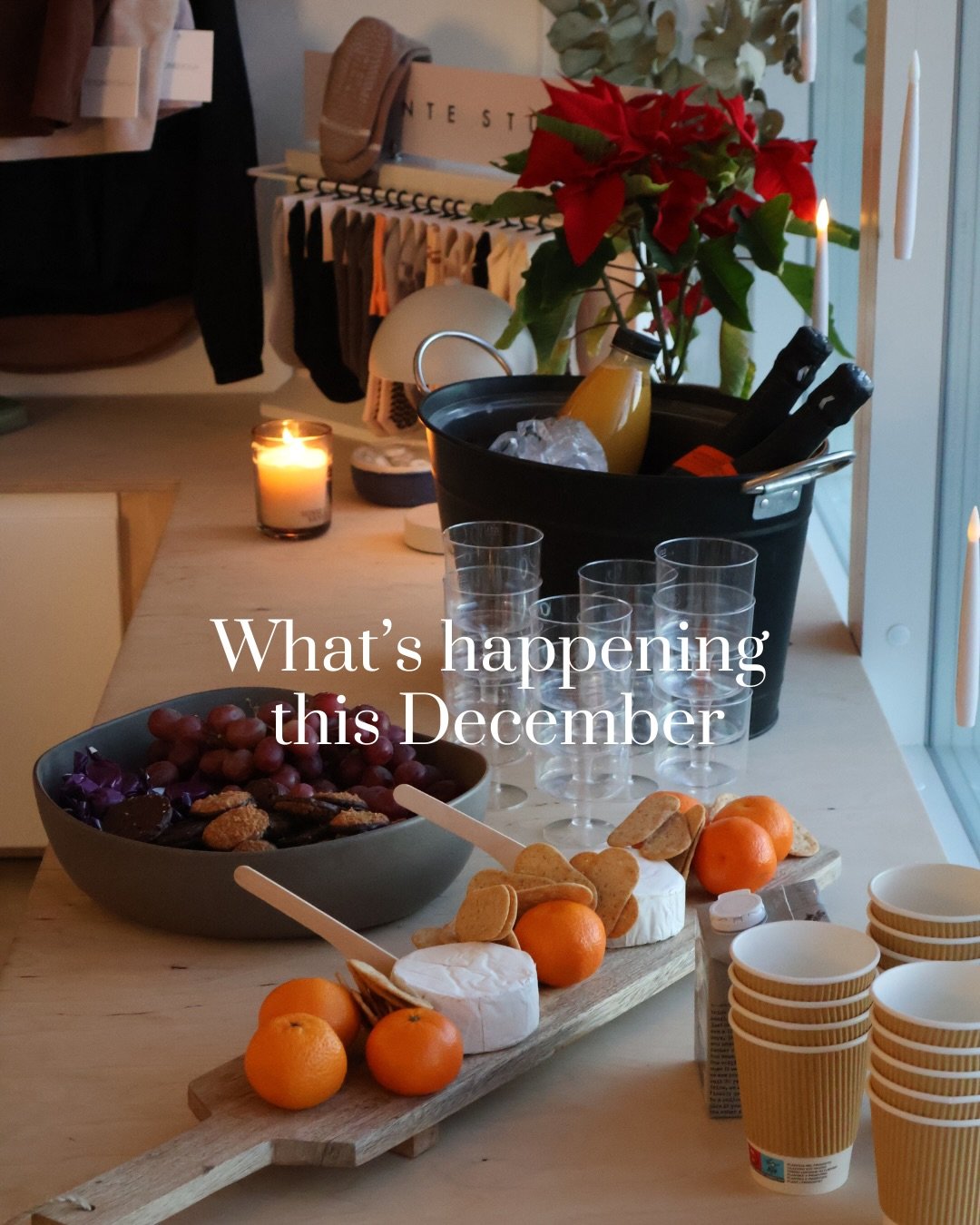 This December at N&uacute;naCo.✨
Spring Semester 2026 sign-ups are officially open, we&rsquo;re celebrating new milestones, wrapping up the N&uacute;naCo Bingo Challenge, and enjoying live concerts and a special holiday gift.

Plus, we&rsquo;ll be ta