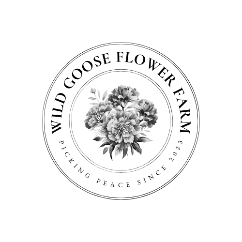 Wild Goose Flower Farm