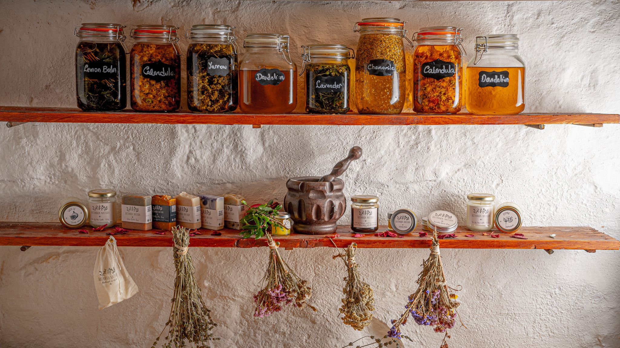 Herbal Balms & Salves Workshop – HBSW01