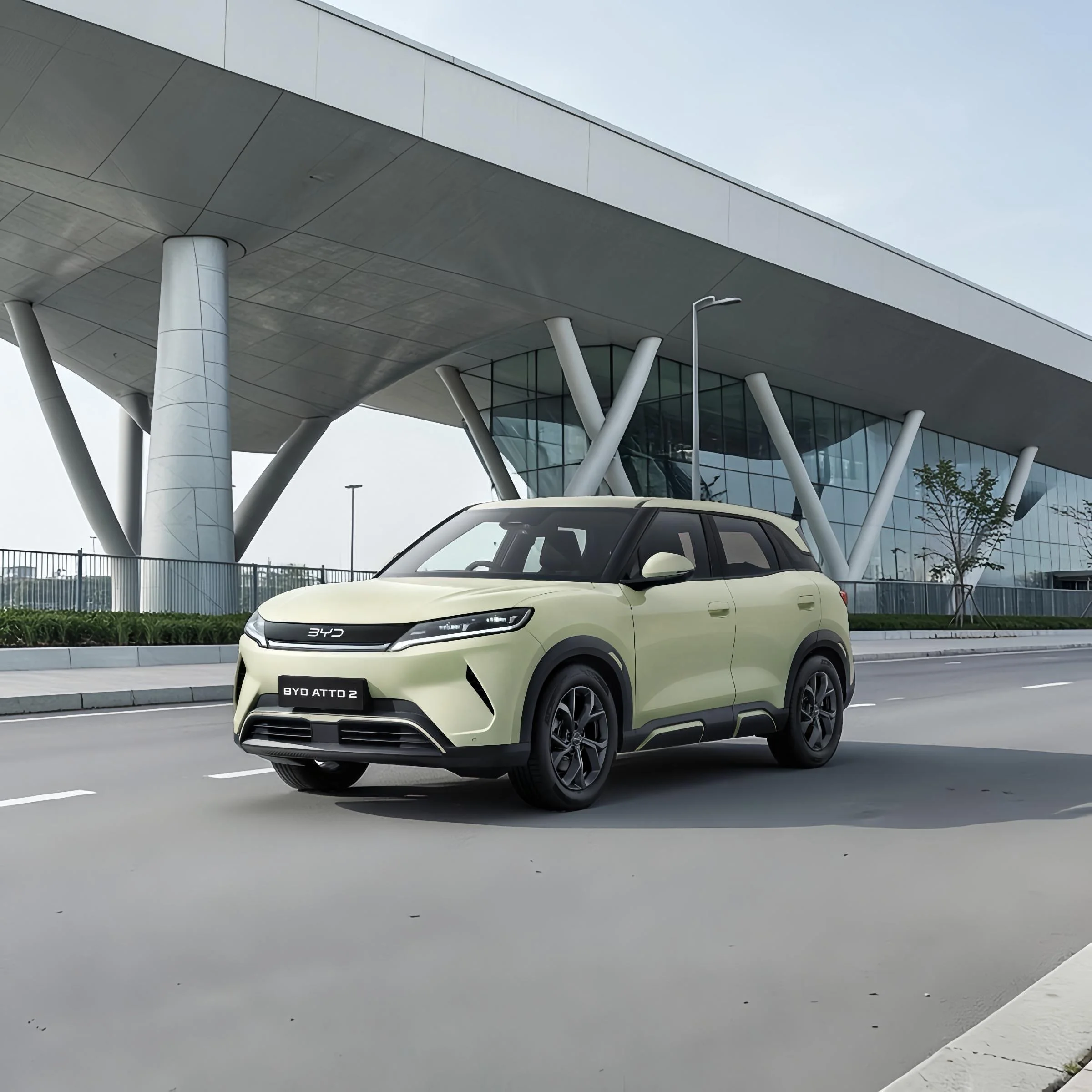 Make Room for Growth (Copy)