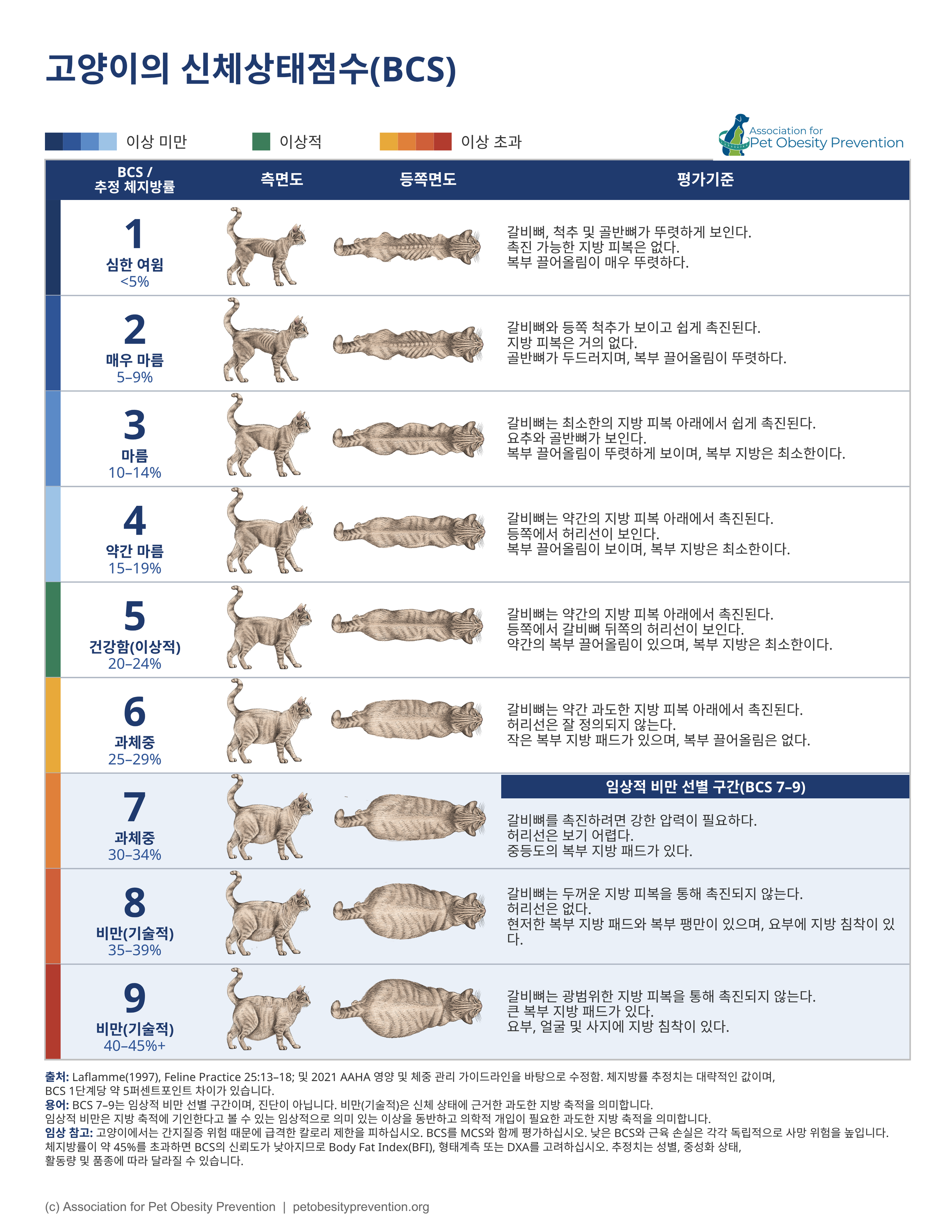 Korean Cat.png