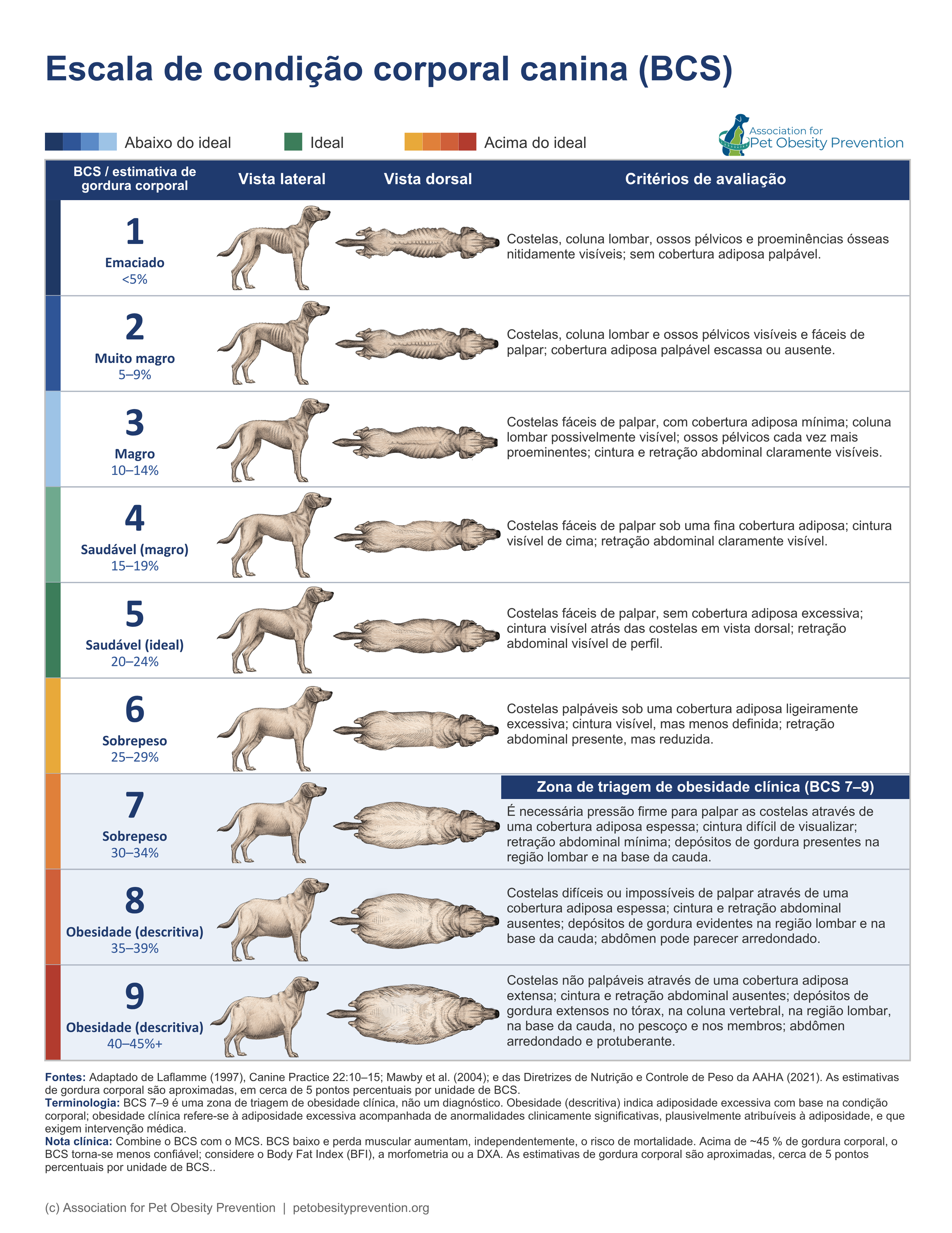 Canine BCS_Portuguese BR.png