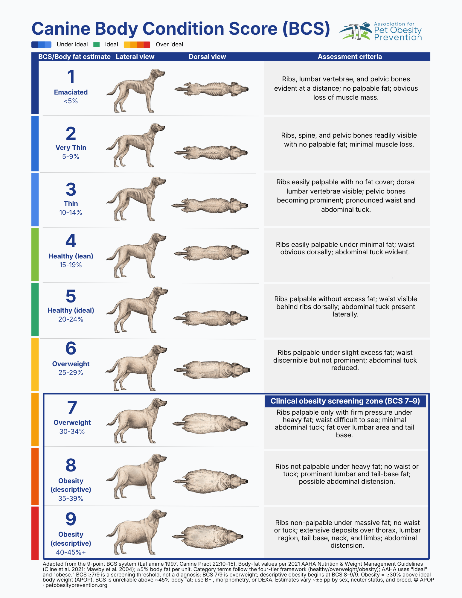 Canine Body Condition Score chart, English