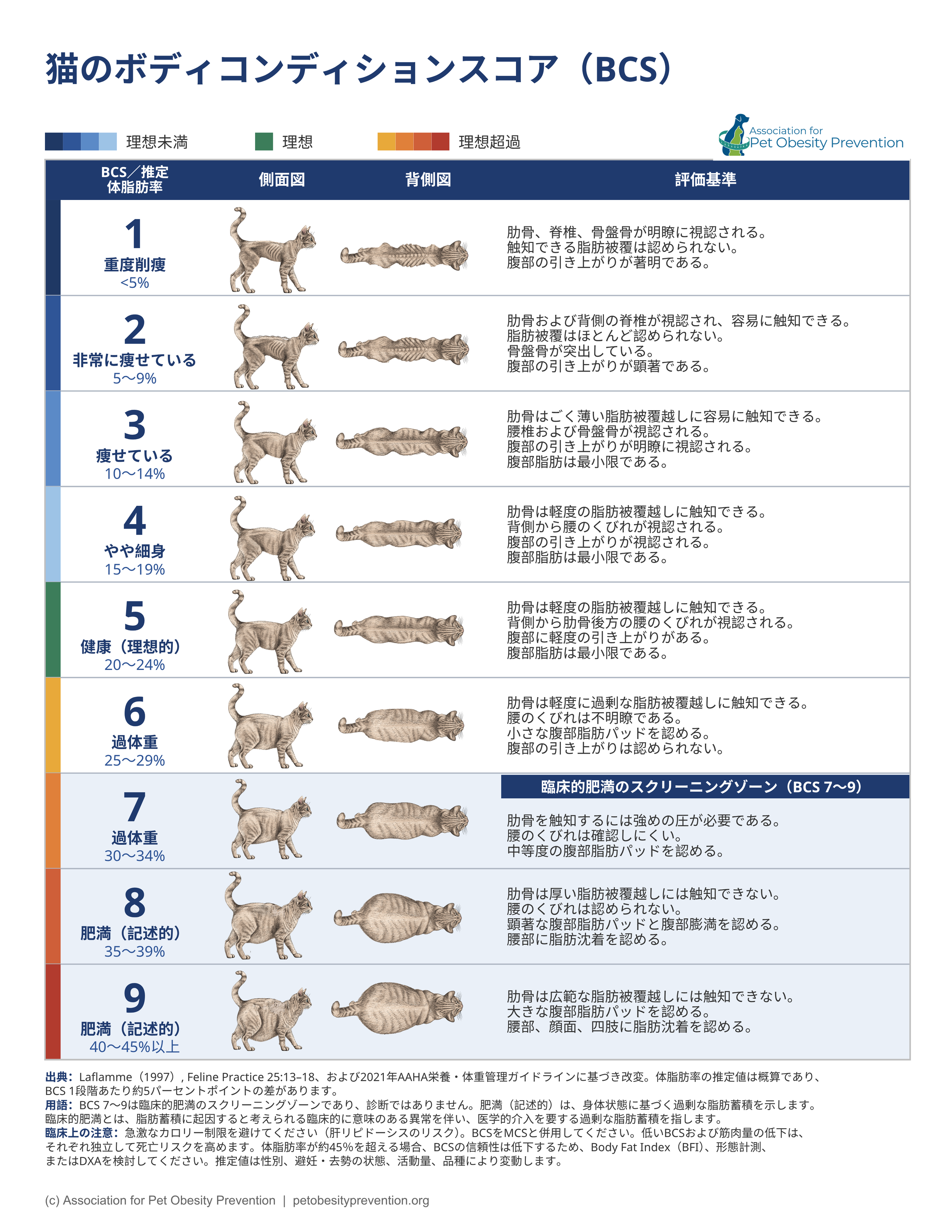 Feline BCS Japanese.png