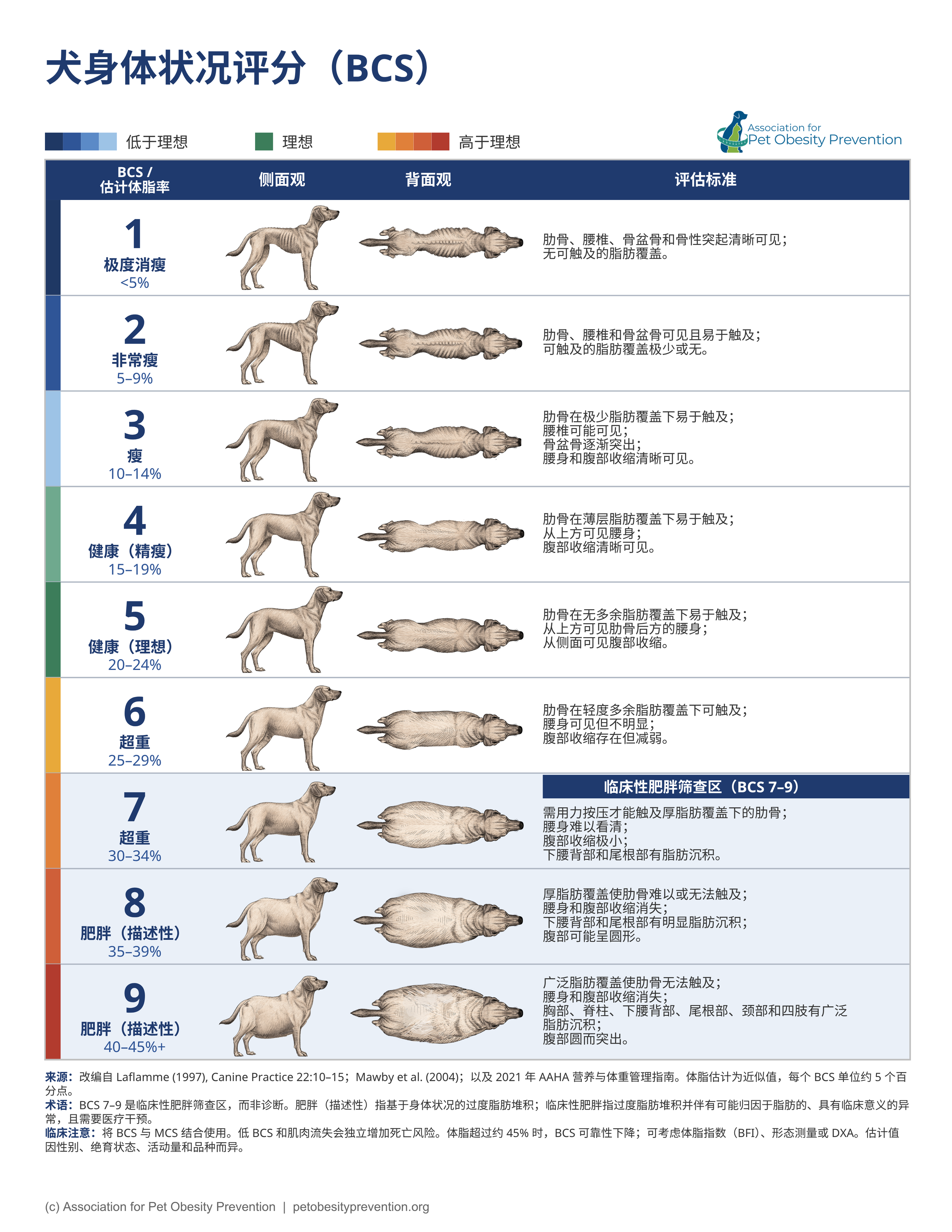 Chinese Canine_BCS.png