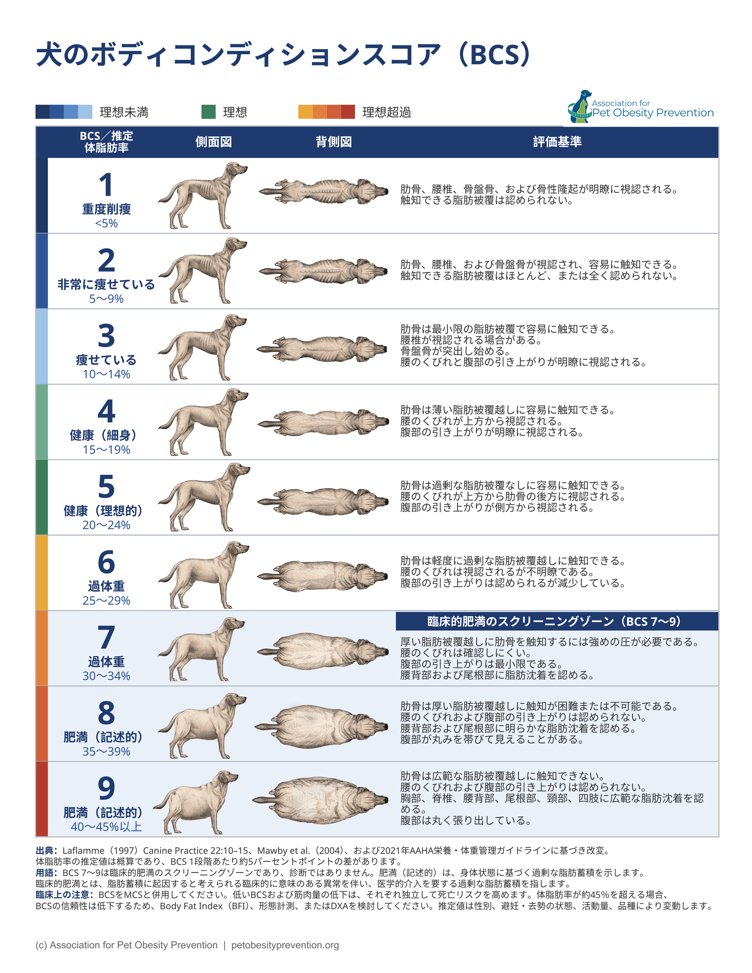 Canine BCS Japanese.png