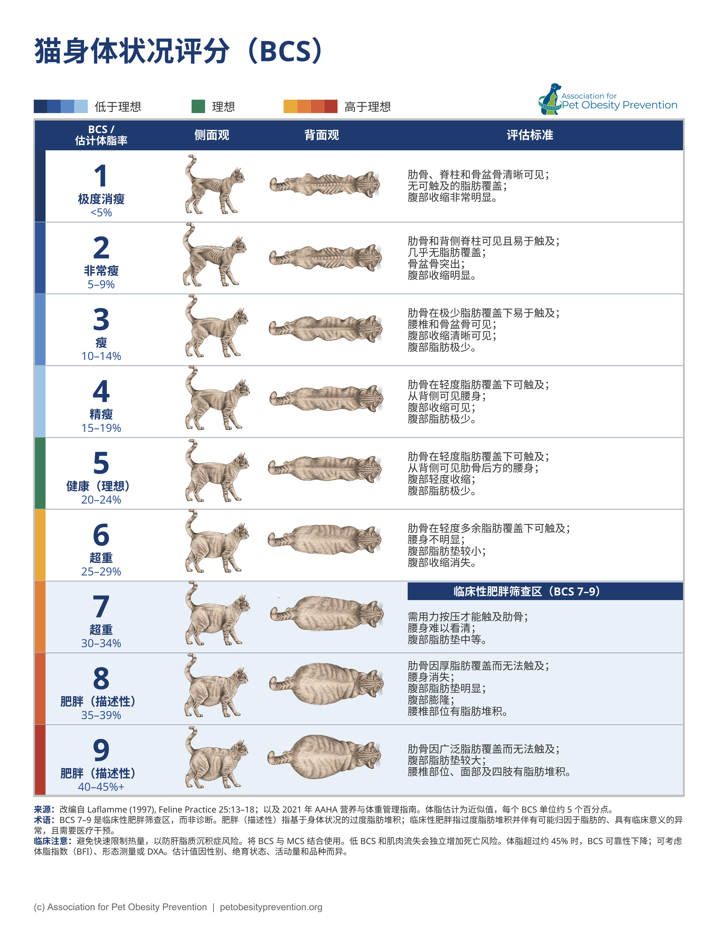 Feline Chinese_BCS.png