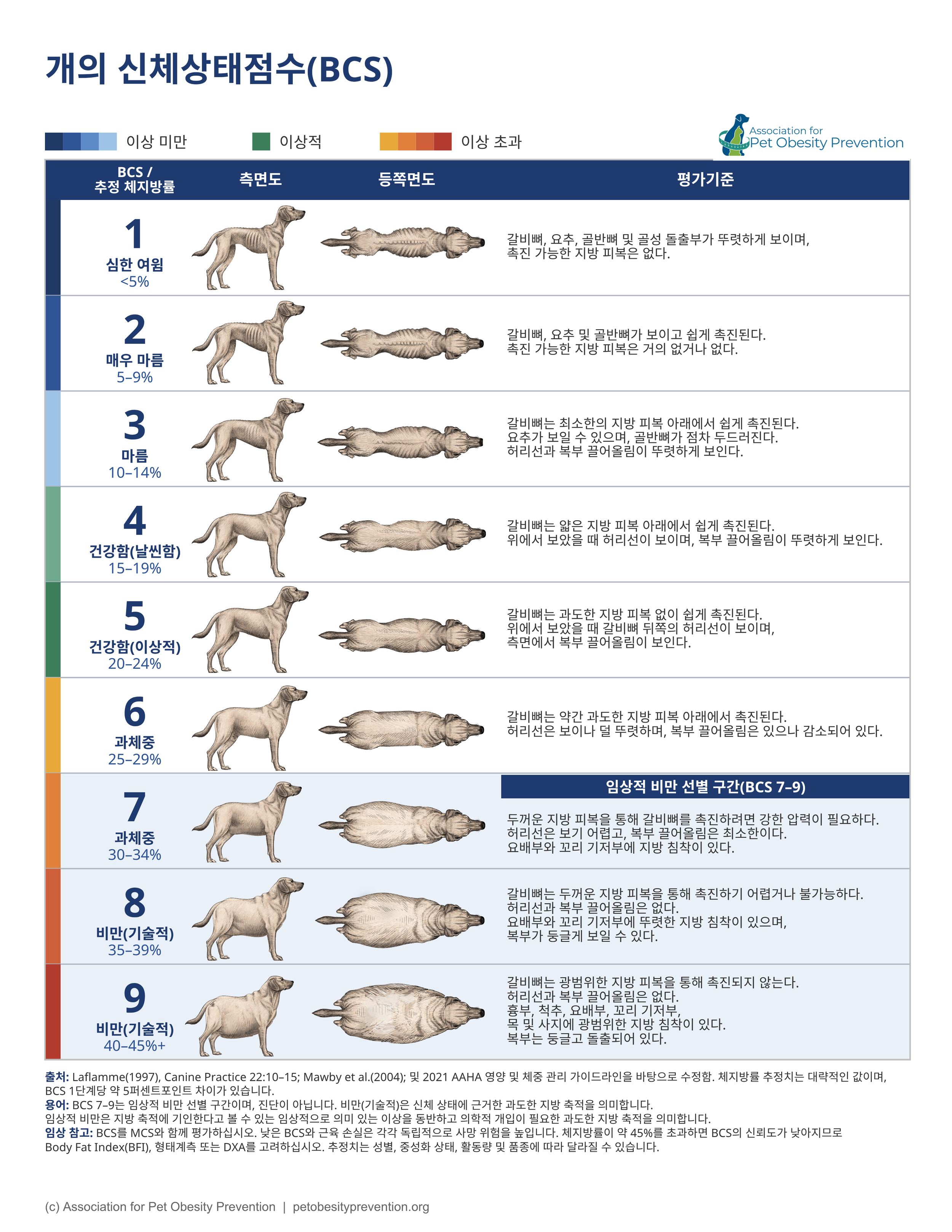 Korean Dog.png