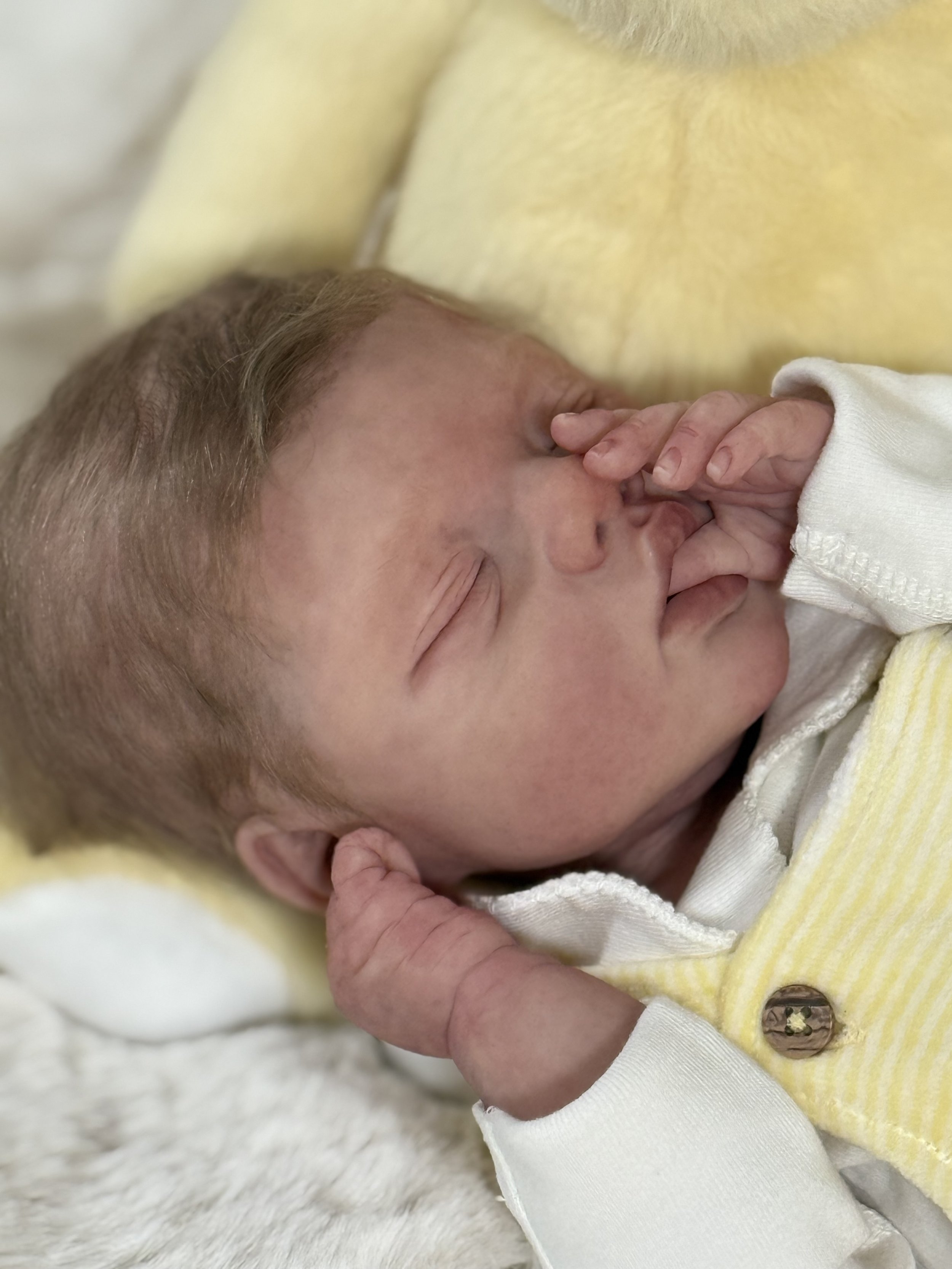 Joanna Joy full body newborn silicone art doll