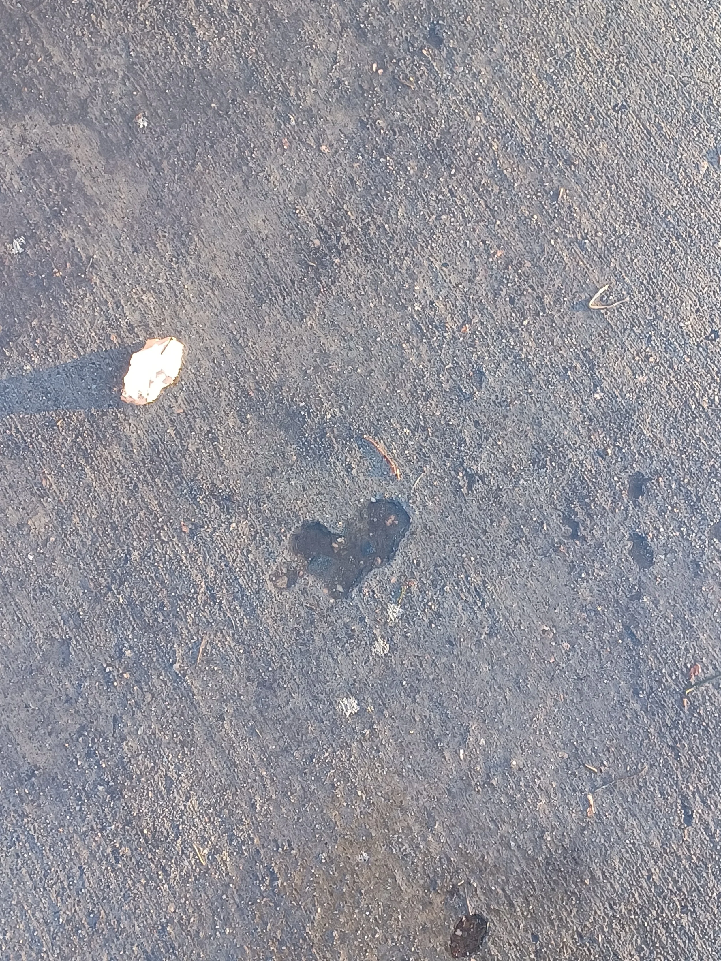 A Puddle of Love