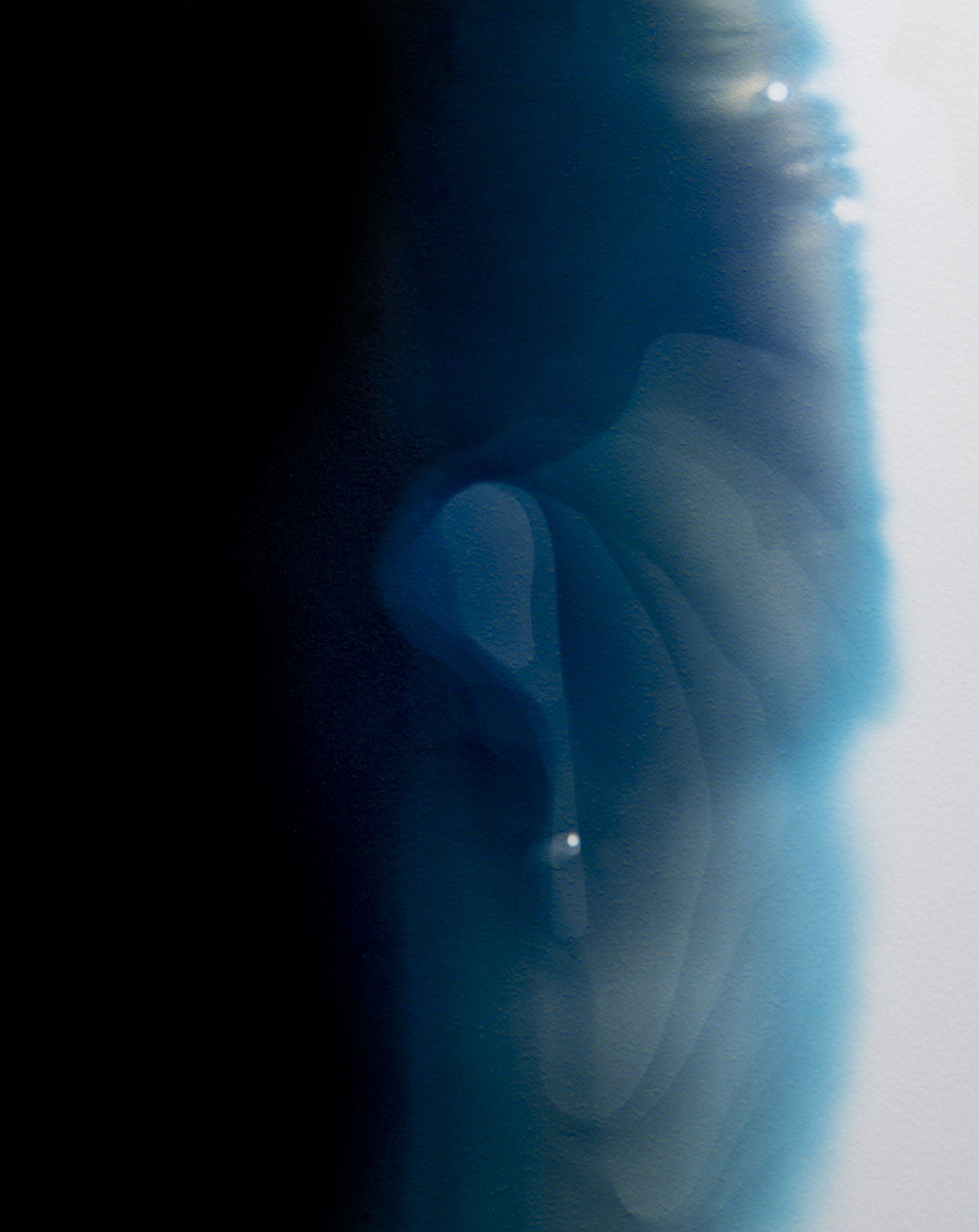 Welte_Shelby_Beauty_in_the_Bad_Water_05.jpg