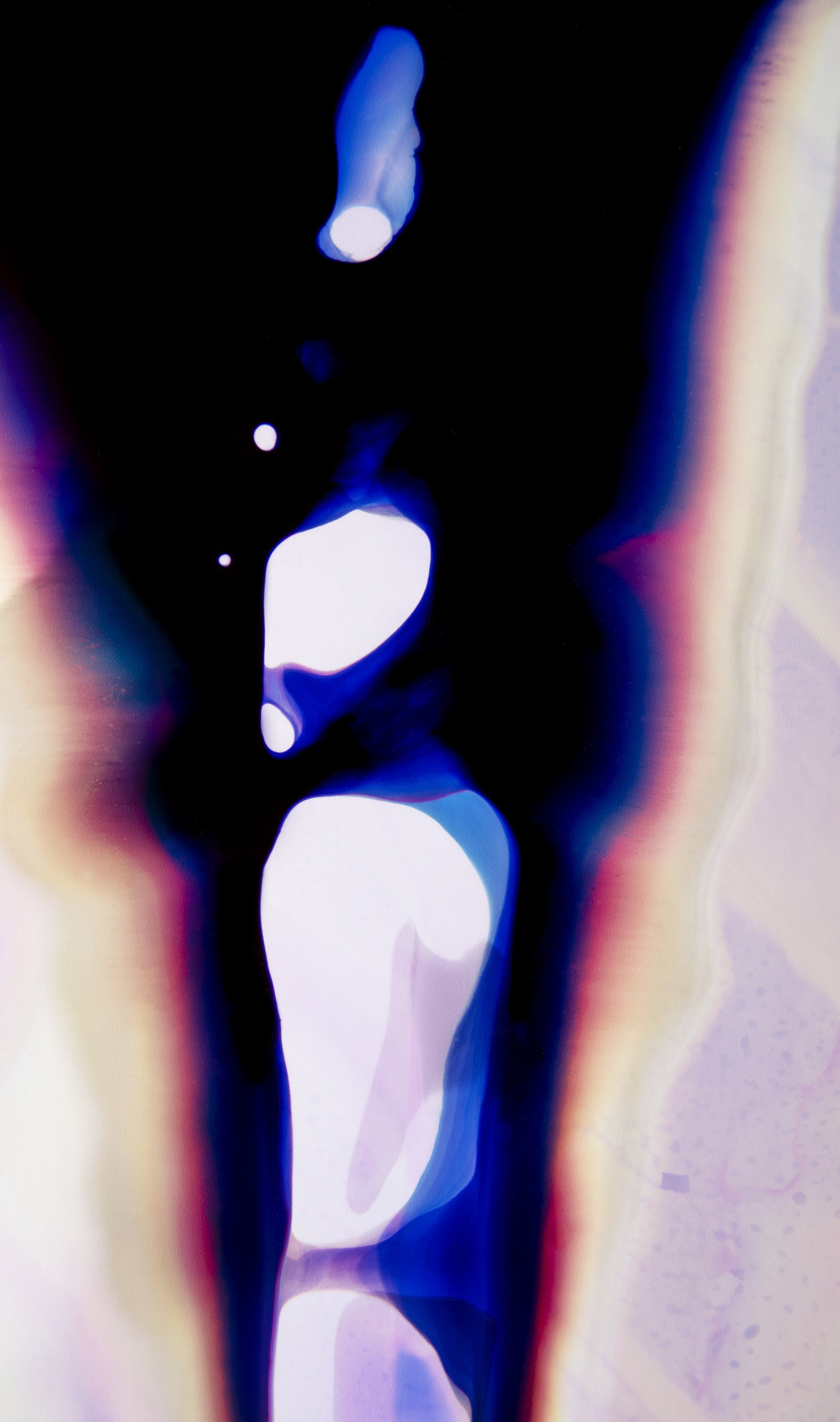 Welte_Shelby_Beauty_in_the_Bad_Water_06.jpg