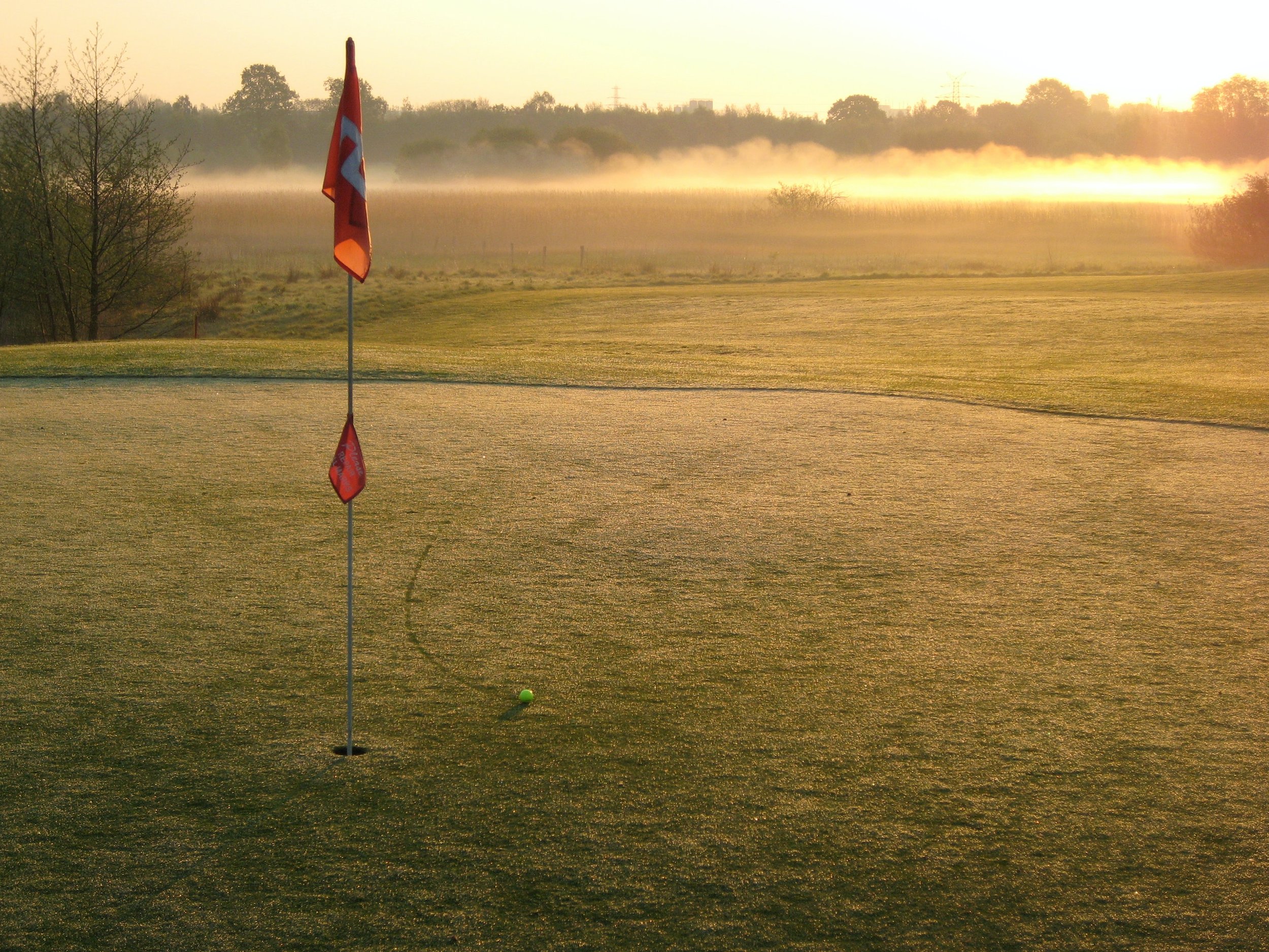 Gold CMGA Membership 2025