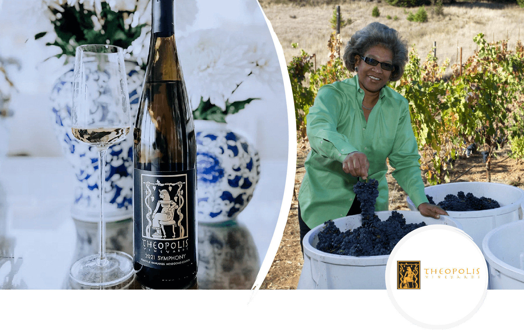 From the Courtroom to the Vineyard: Theodora Lee’s Bold Wine Journey