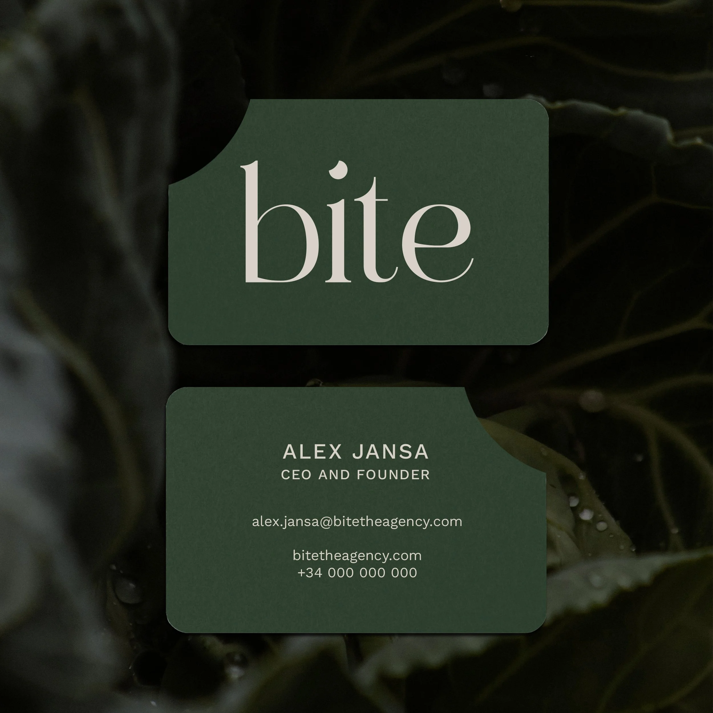 bisnesscard-bitepp.jpg