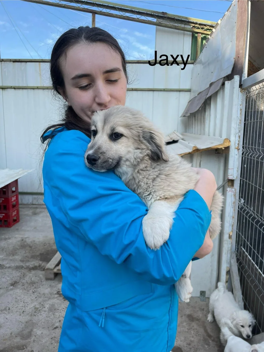 Baby Angels Freedom Angels Romania baby-angels-freedom-angels-romania