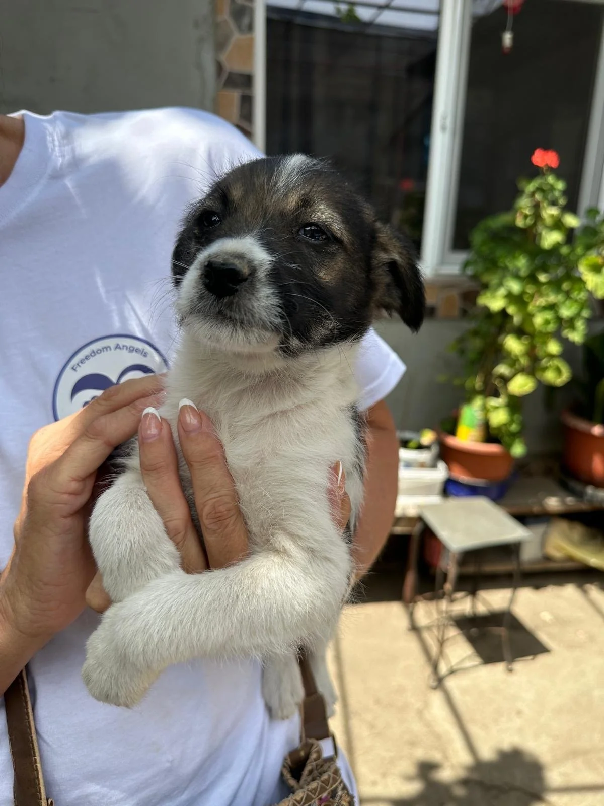 8ccd2e5b-36b4-4e21-b028-a4417e4235a0 2.JPG