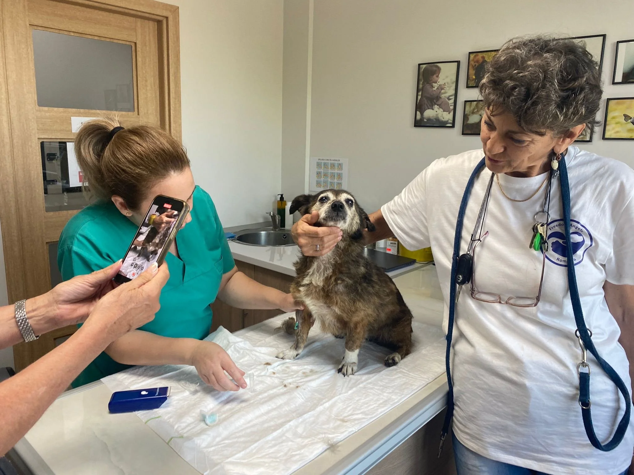 4235a895-fe64-4046-a56d-142751607480 2.JPG