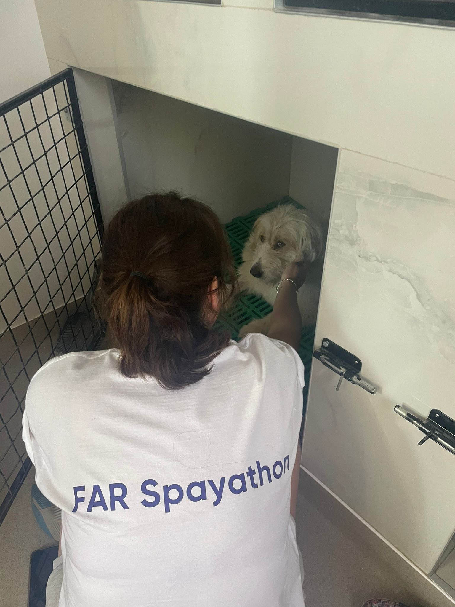 d01c5db6-02d4-4478-9d04-45ccd888aaee 3.JPG