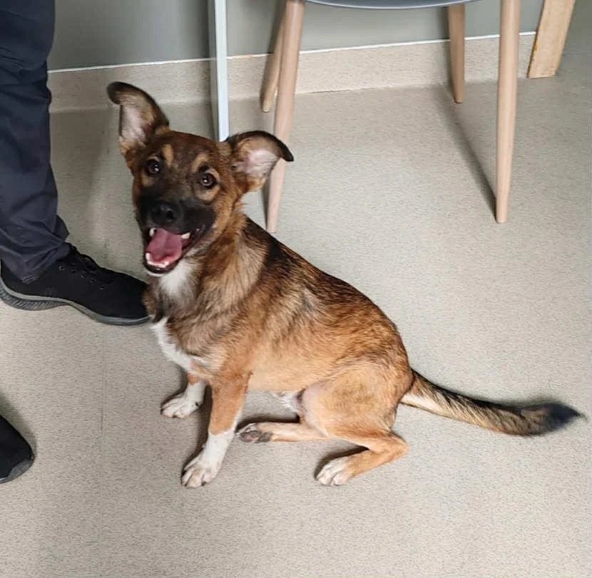 bd5ba1a9-688d-42df-9755-bff52d203738.JPG