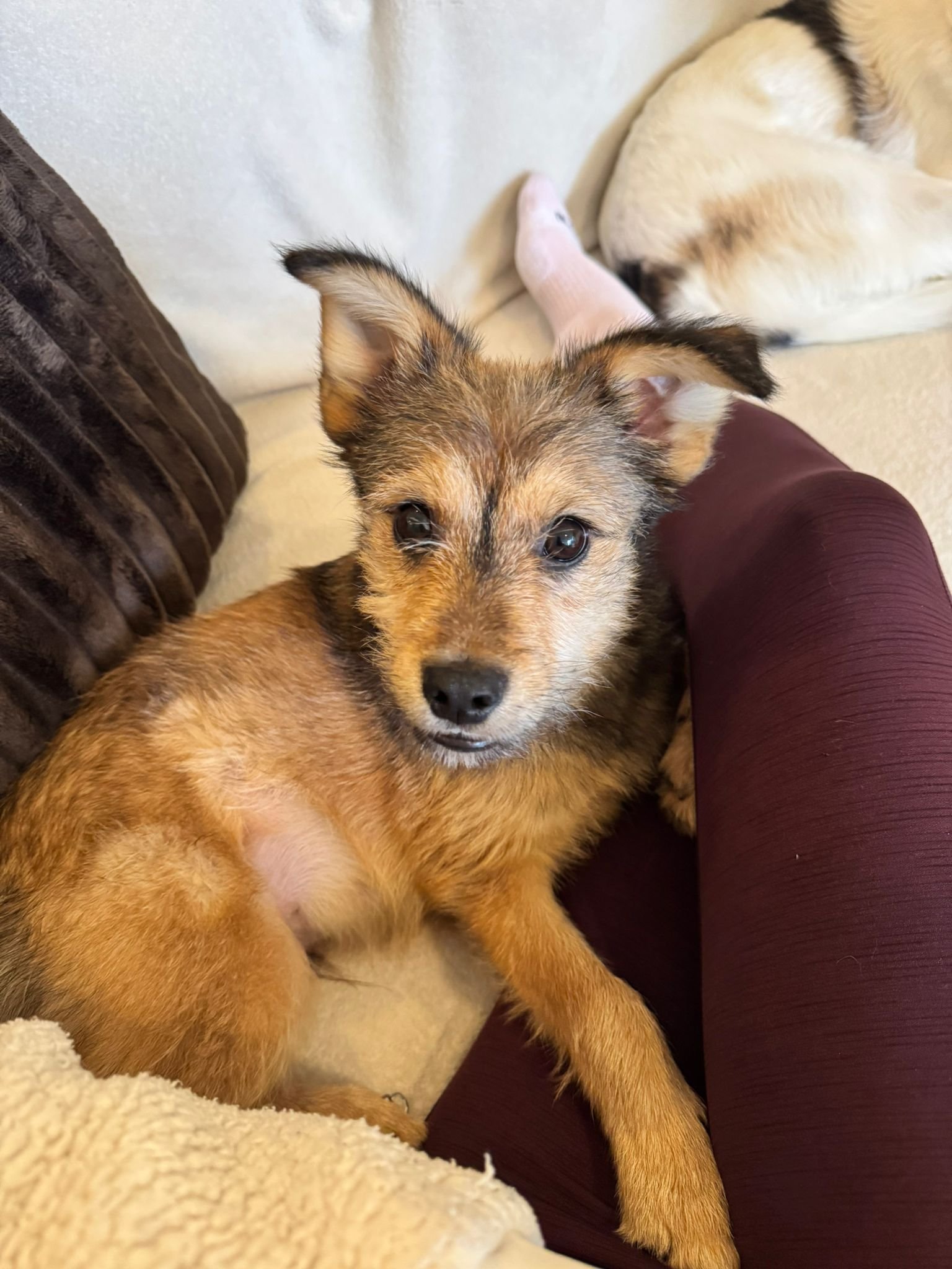 WhatsApp Image 2025-10-18 at 6.30.30 PM (1).jpeg