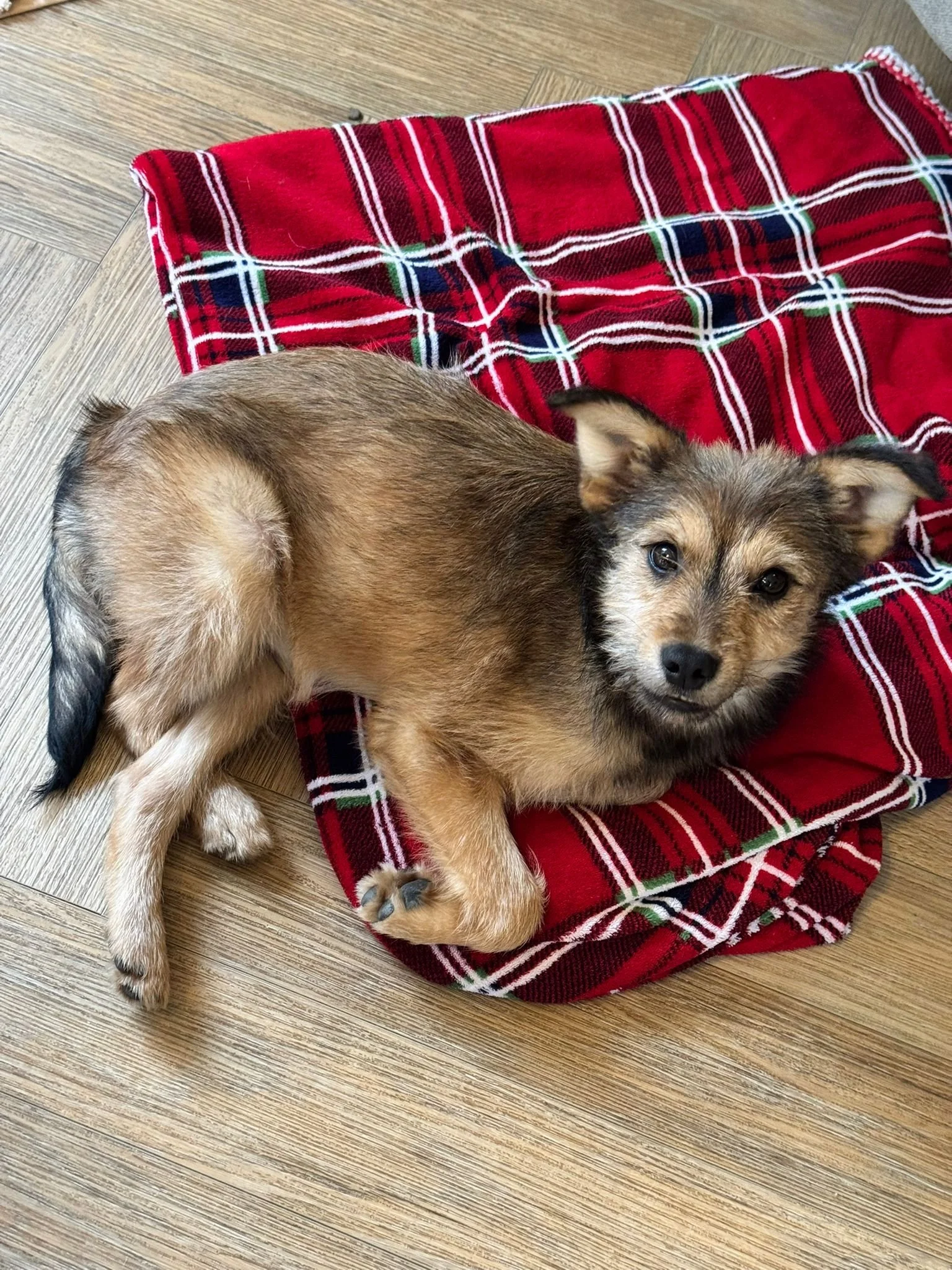 WhatsApp Image 2025-10-18 at 6.30.31 PM.jpeg