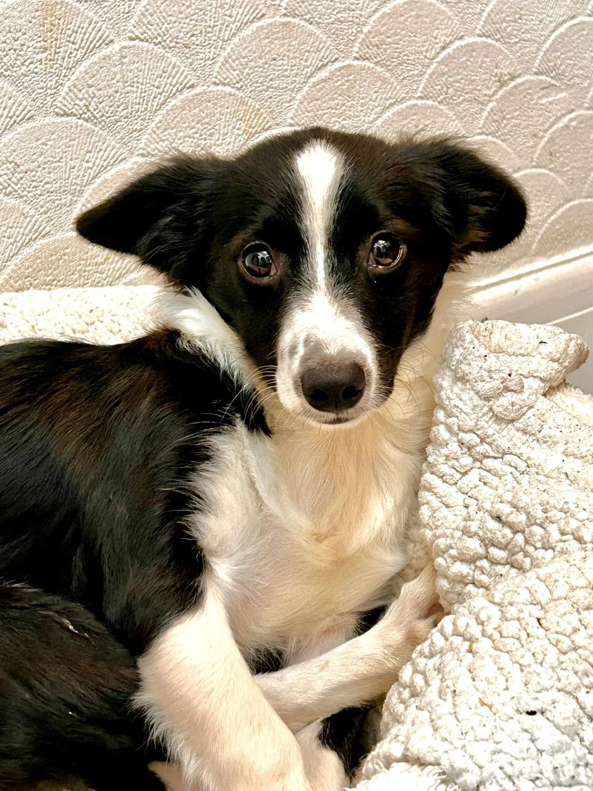 WhatsApp Image 2025-10-18 at 7.18.35 PM.jpeg