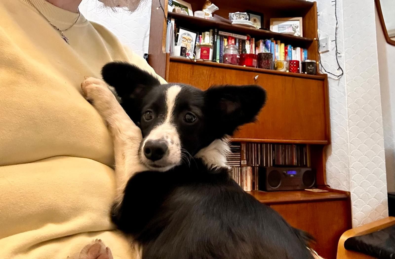 WhatsApp Image 2025-10-18 at 7.18.35 PM (1).jpeg