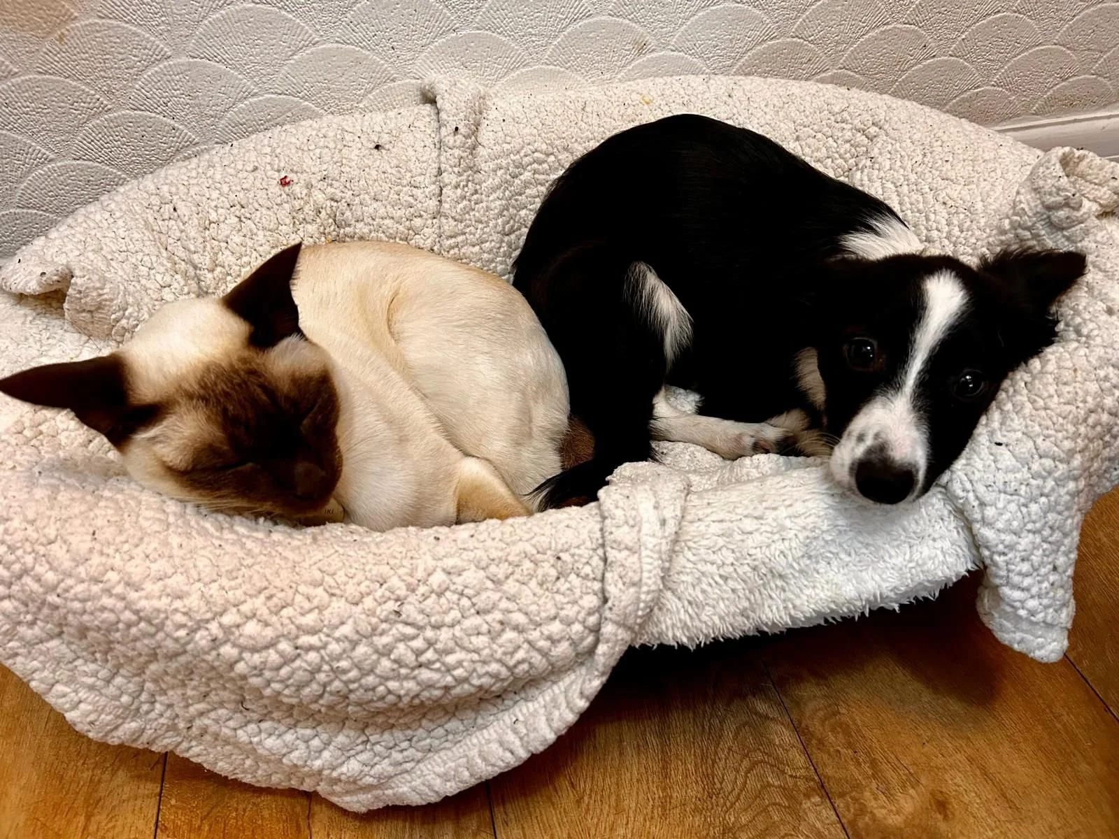 WhatsApp Image 2025-10-18 at 7.18.36 PM.jpeg