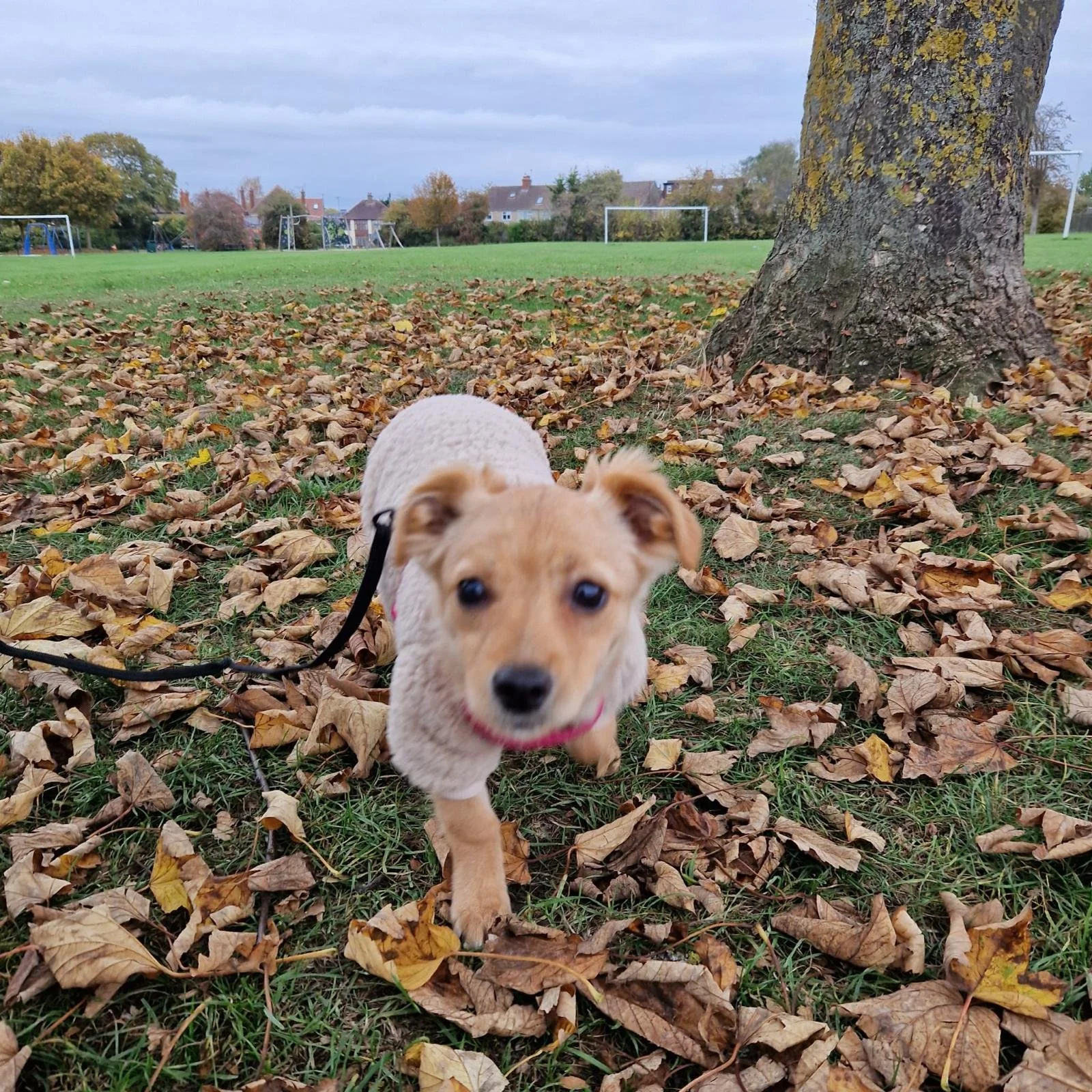 WhatsApp Image 2025-10-21 at 4.57.21 PM.jpeg