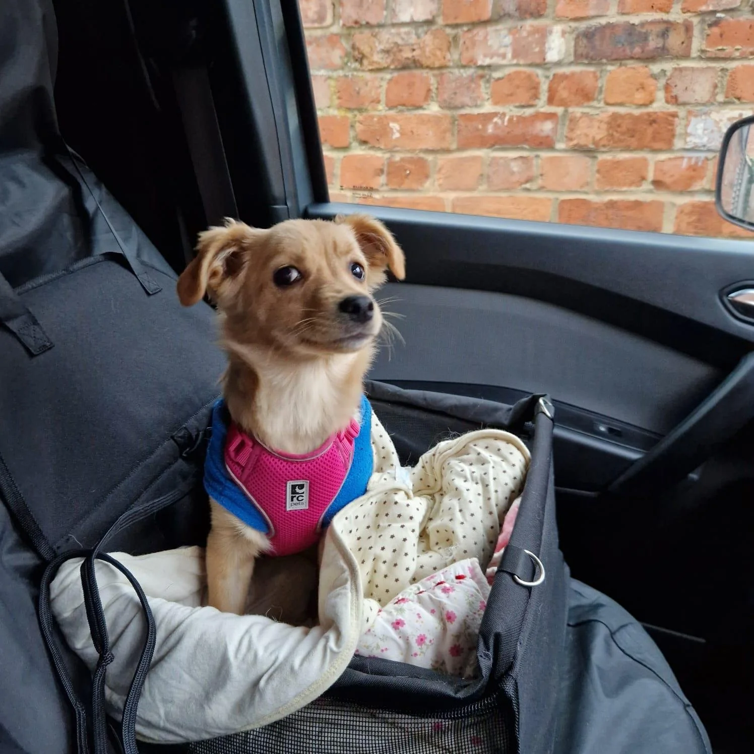 WhatsApp Image 2025-10-21 at 4.57.21 PM (2).jpeg