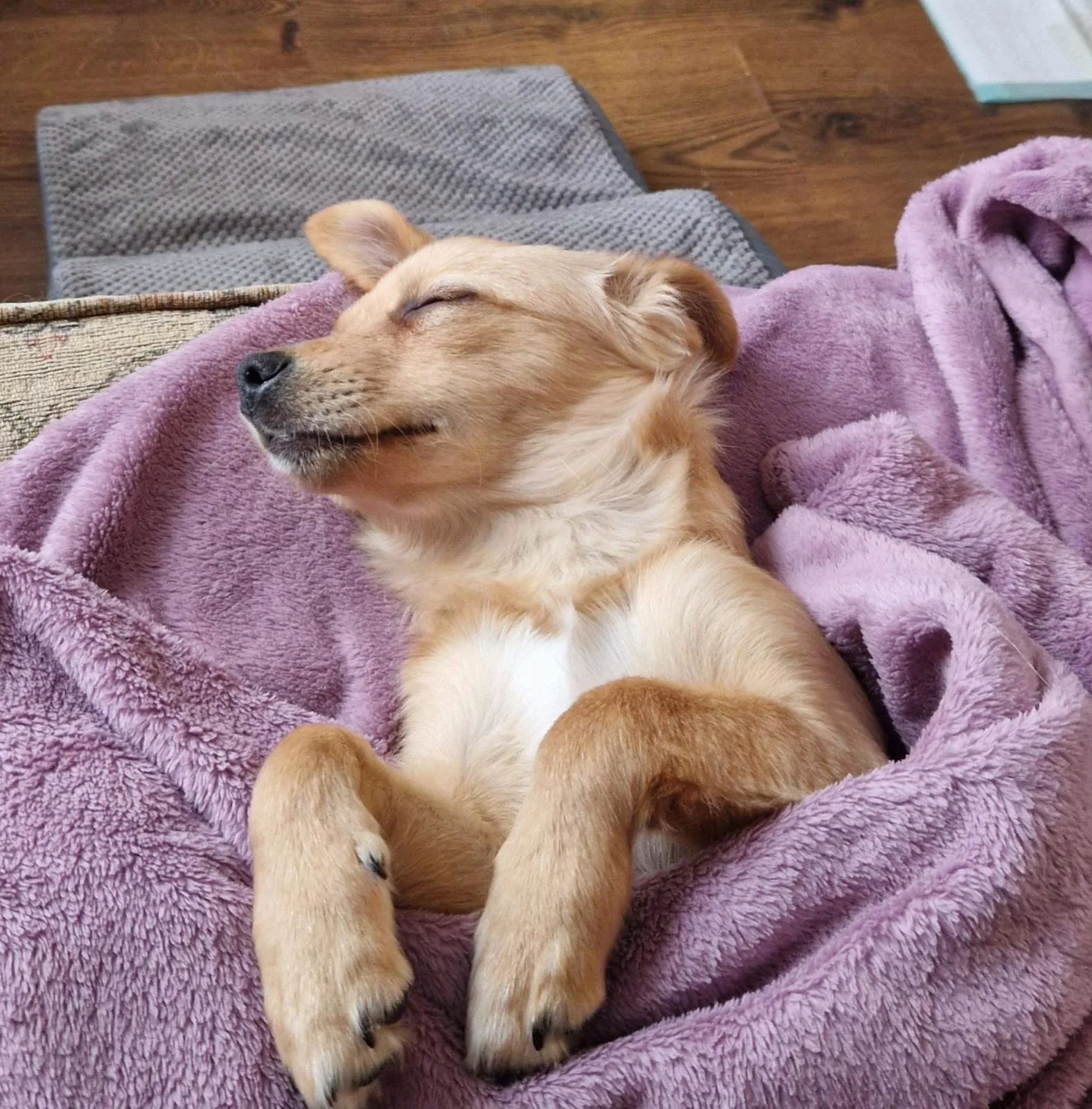 WhatsApp Image 2025-10-21 at 4.57.22 PM.jpeg