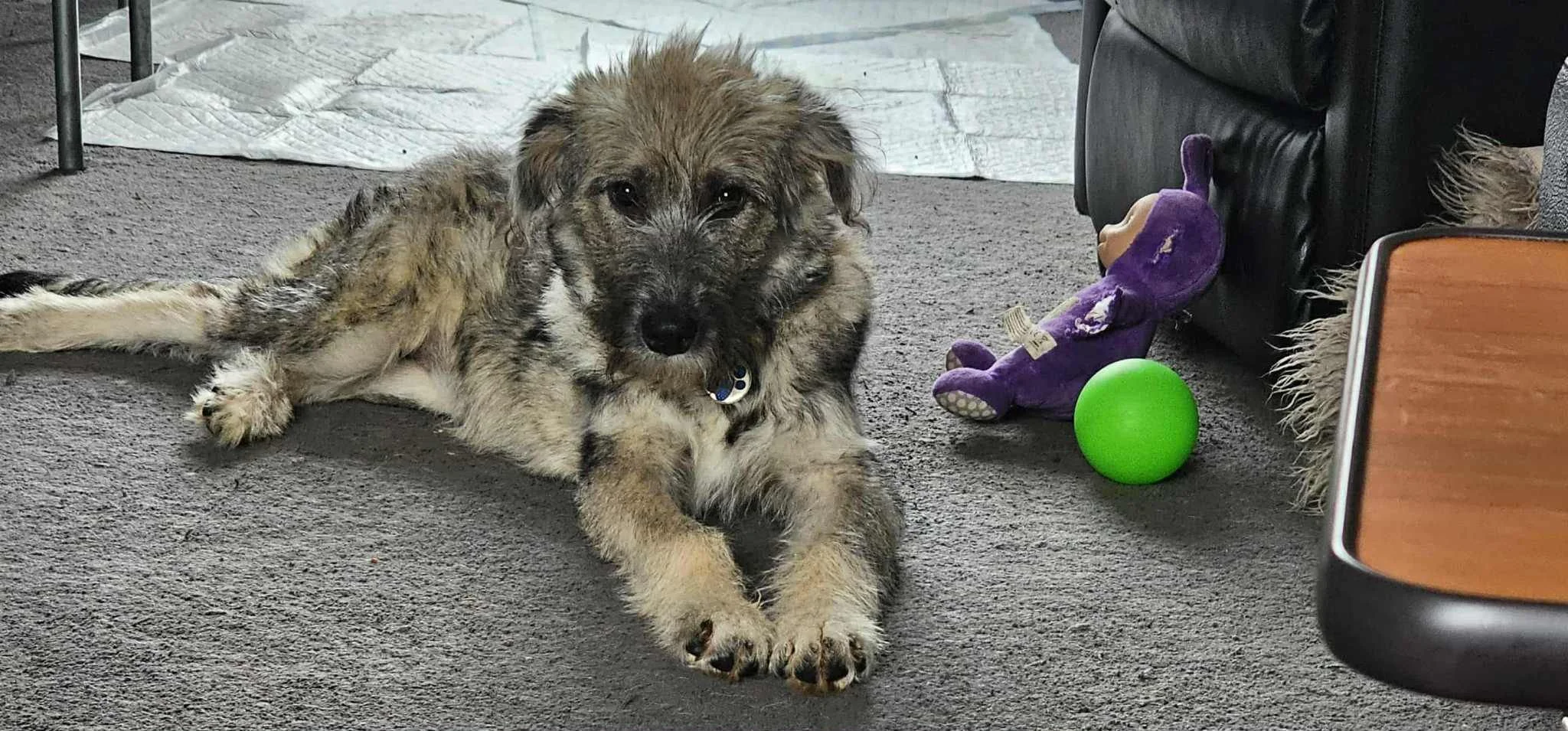 WhatsApp Image 2025-10-22 at 9.40.09 PM.jpeg