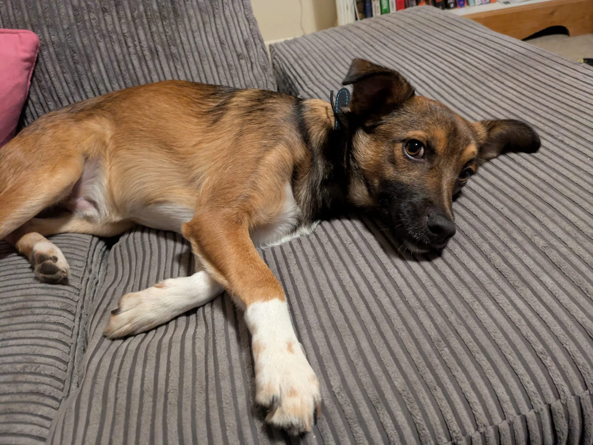 WhatsApp Image 2025-10-23 at 5.25.54 PM (2).jpeg