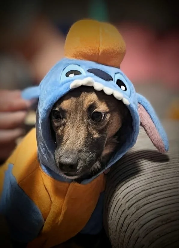 WhatsApp Image 2025-10-23 at 5.25.54 PM (1).jpeg