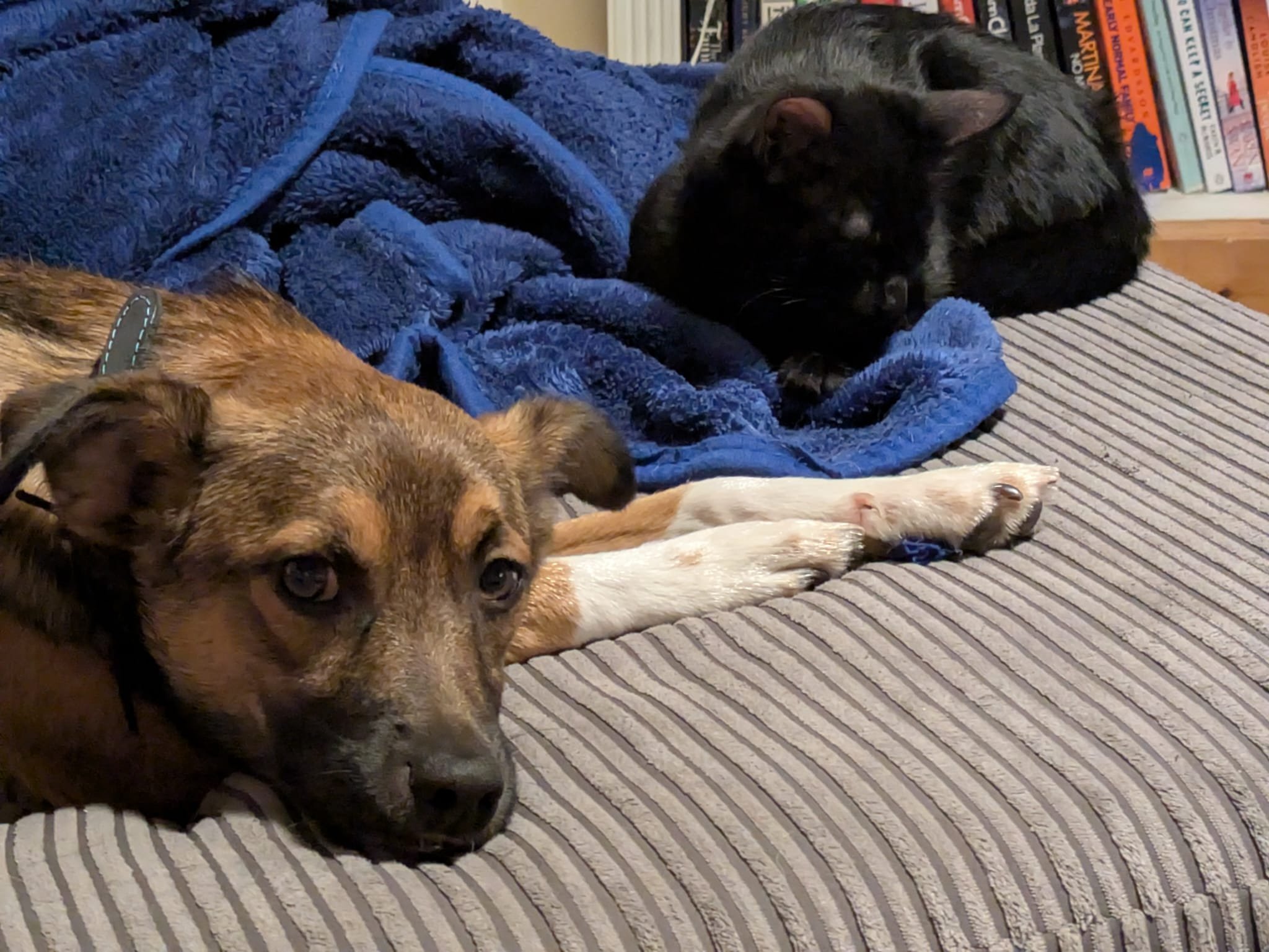 WhatsApp Image 2025-10-23 at 5.25.54 PM.jpeg