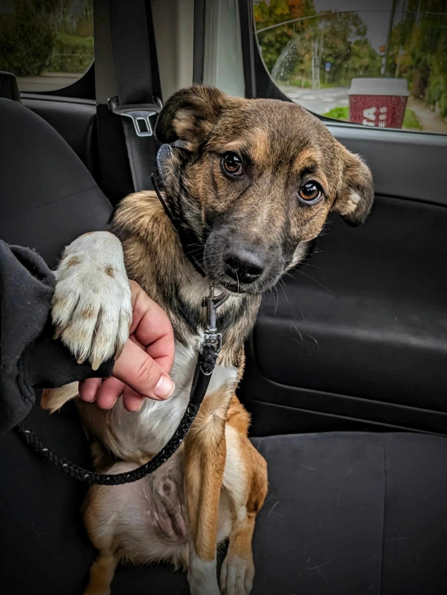 WhatsApp Image 2025-10-23 at 5.25.53 PM (1).jpeg