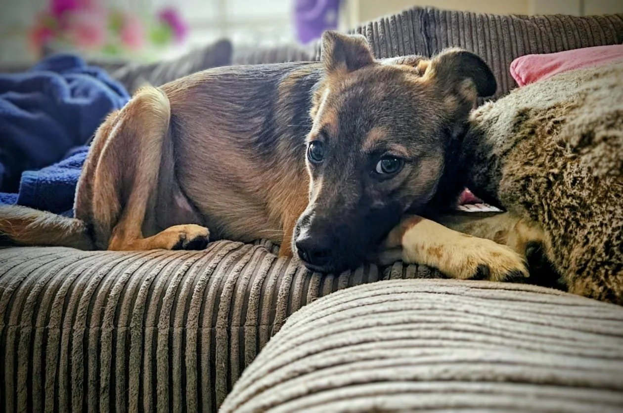 WhatsApp Image 2025-10-23 at 5.25.53 PM.jpeg