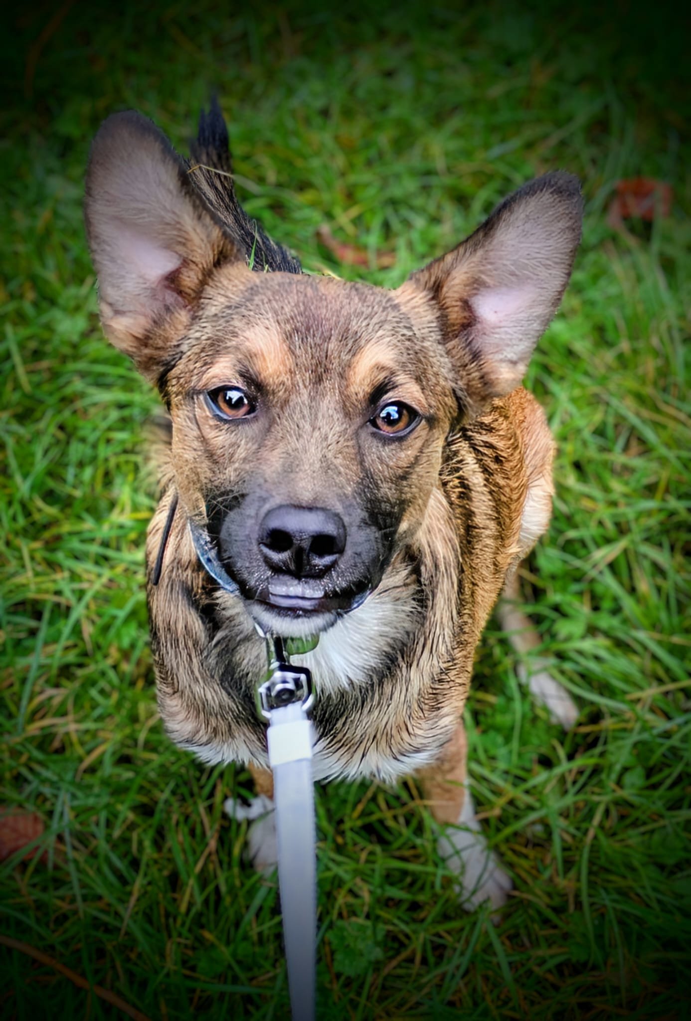 WhatsApp Image 2025-10-23 at 5.25.26 PM.jpeg