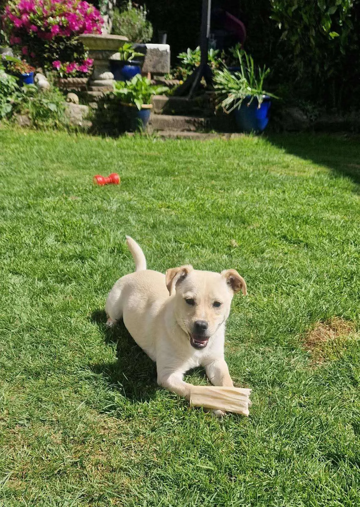 Gwenie 2.jpg