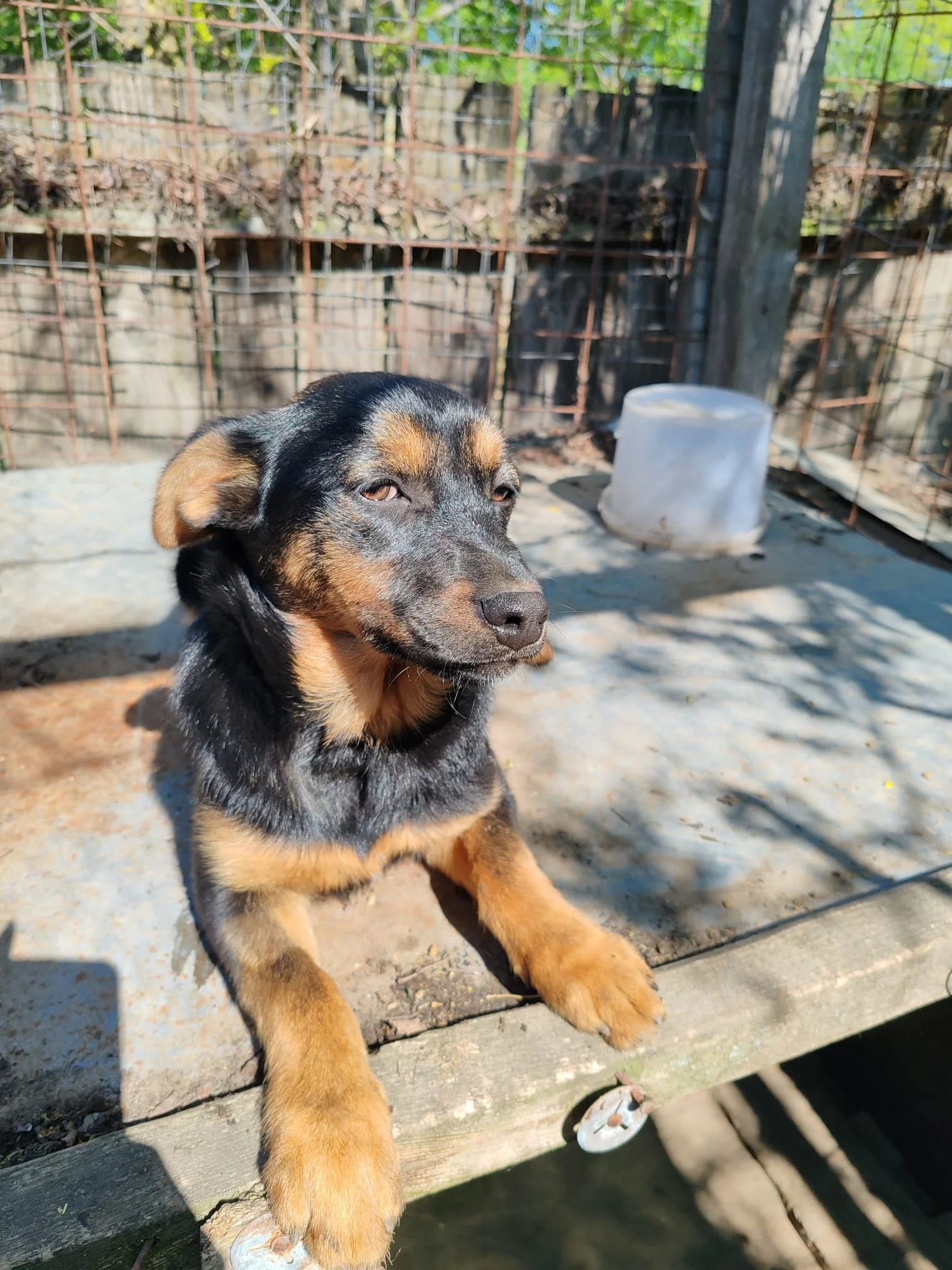 Meet Rachel