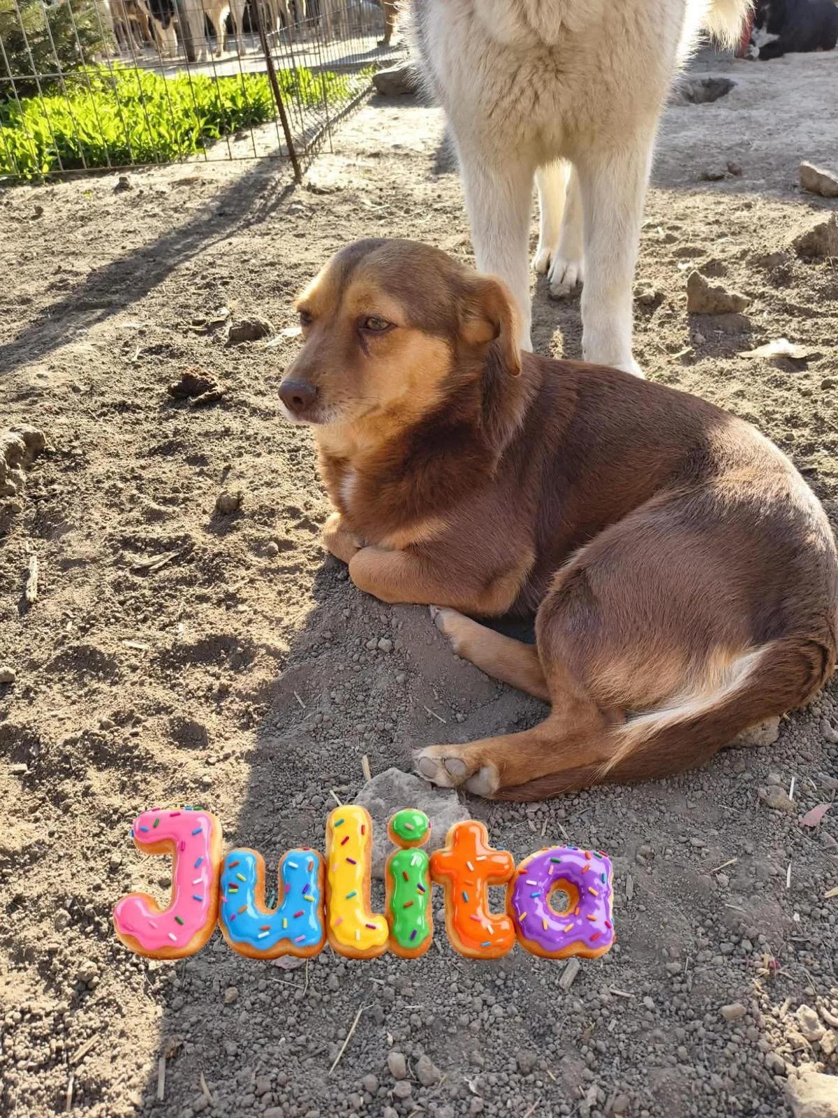 Meet Julita