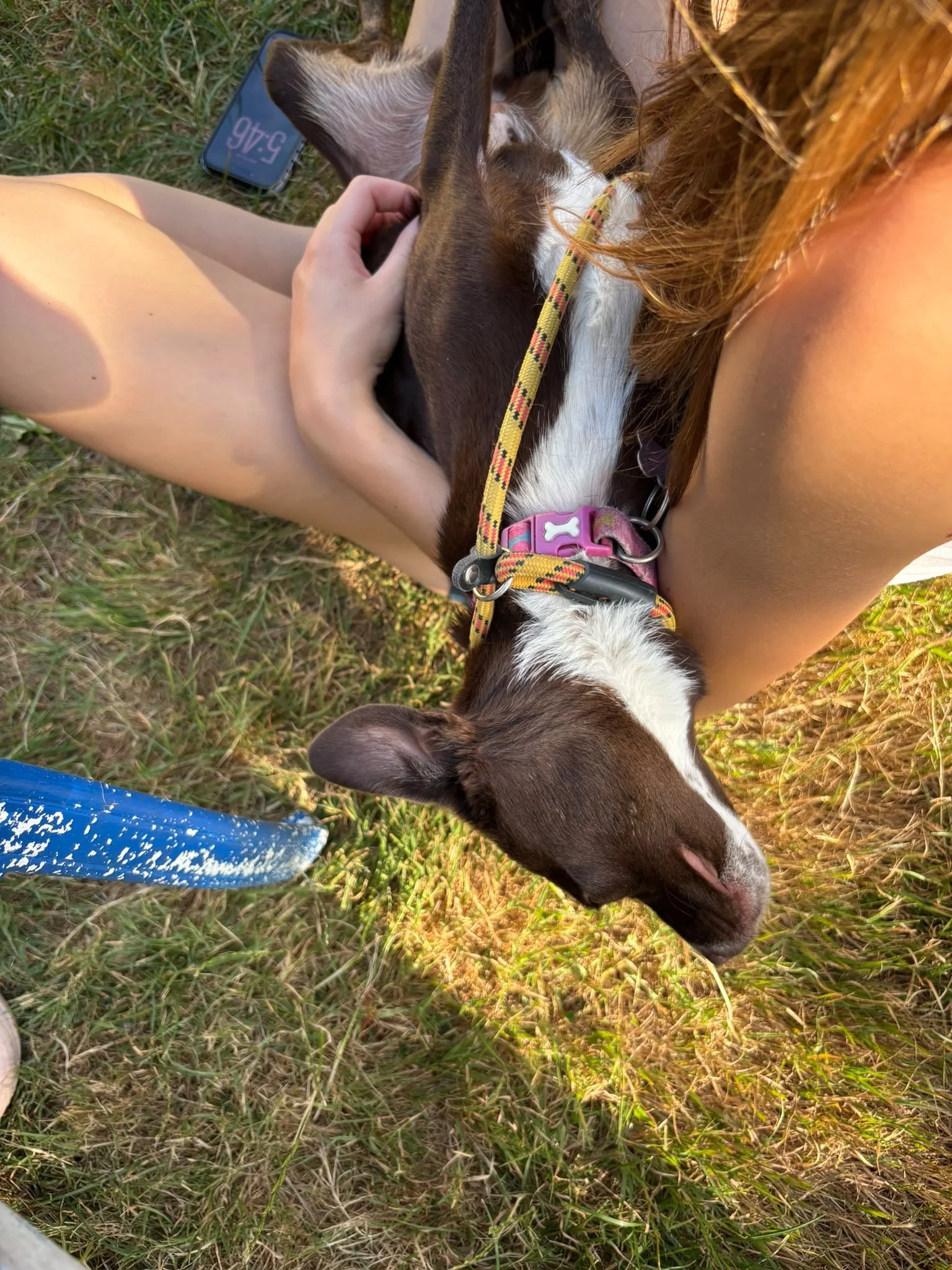 c3cb3912-375b-4c50-86ab-0a133cfade6a.jpg