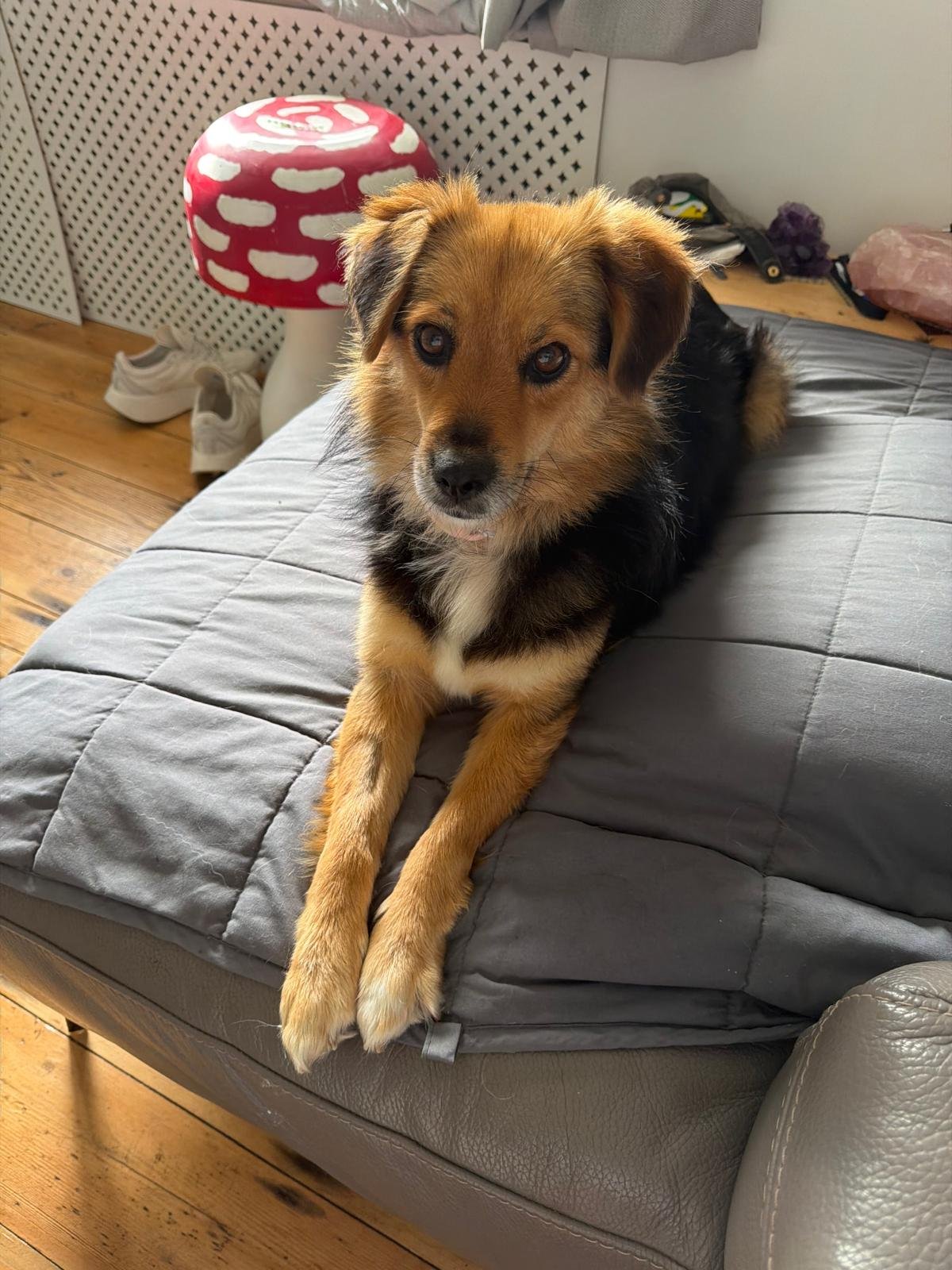 Julina - A gorgeous girl with a gorgeous heart